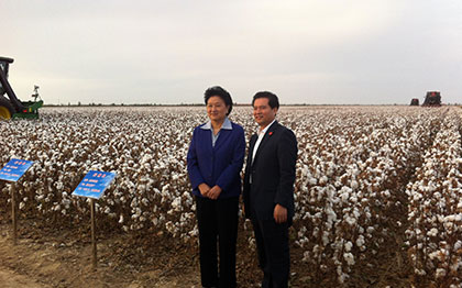 2014年10月原國(guó)務(wù)院副總理劉延?xùn)|親臨六師共青團(tuán)農(nóng)場(chǎng)采棉現(xiàn)場(chǎng)考察